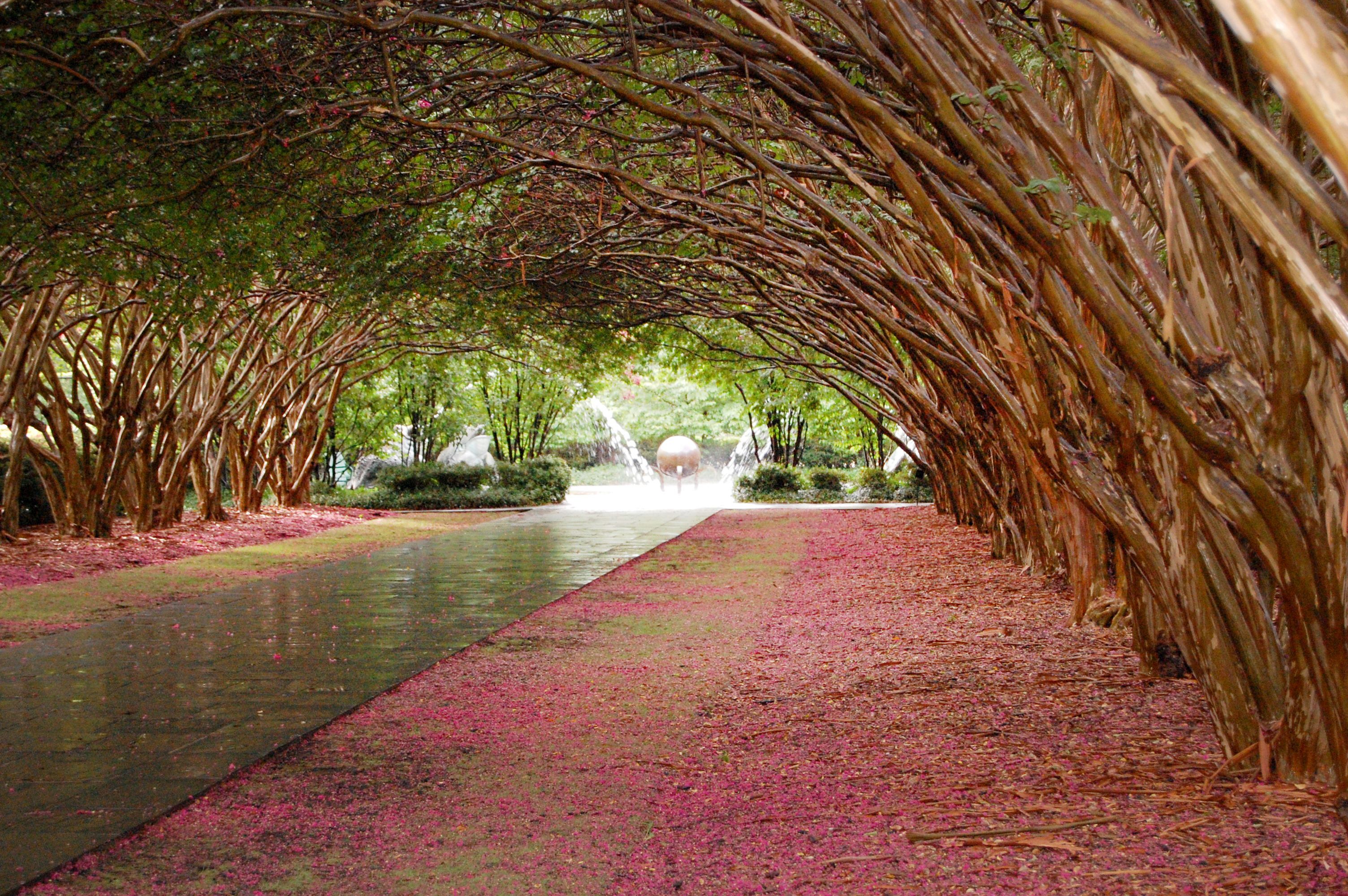 The Dallas Arboretum and Botanical Garden